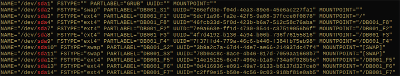 SNAPSHOT__PartitionsList__lsblk