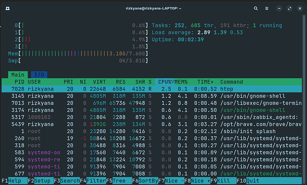 HTOP Usage