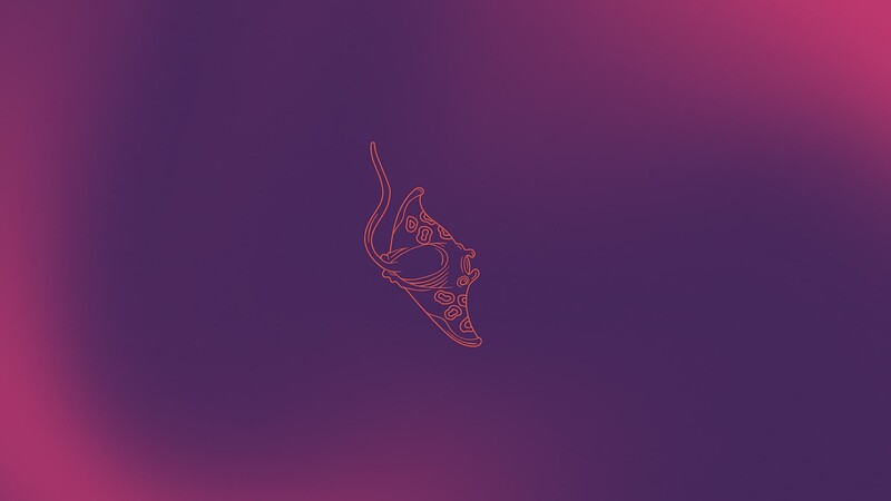 stongking-stingray