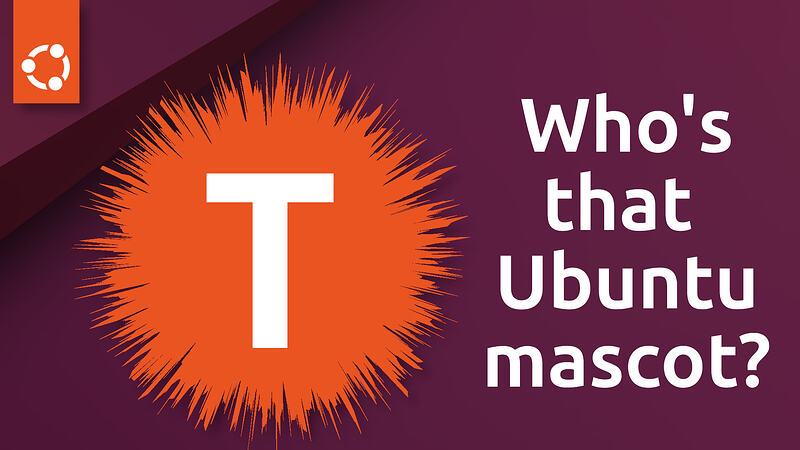 whos-that-mascot-t