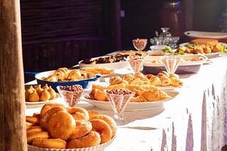 IMG_2555.jpg