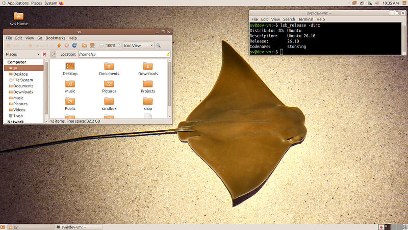 UM-stonking-desktop-2