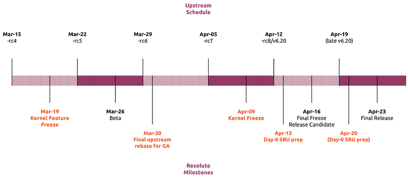 Second half of development cycle