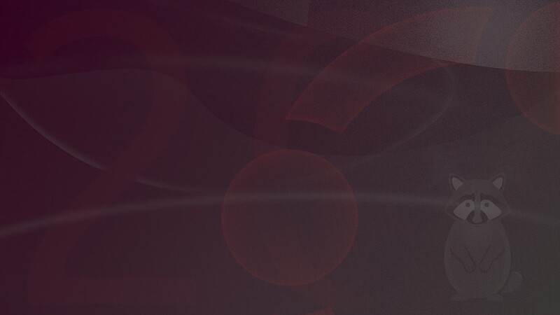 raccoon_2