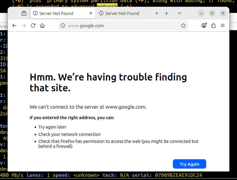 SNAPSHOT__FirefoxFailingNetworkAccess