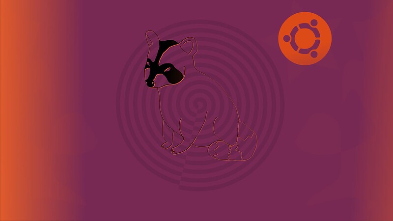 raccoon ubuntu