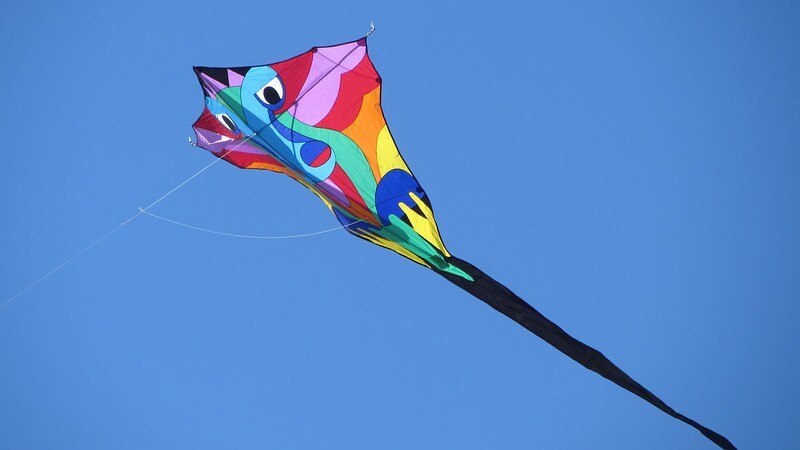 Kite