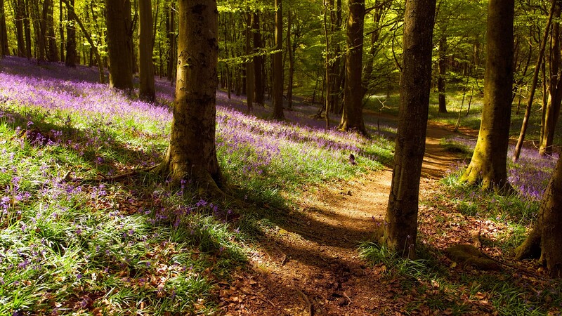 54643358588_9436692963_4k_resized