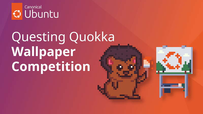quokka-wallpaper-banner
