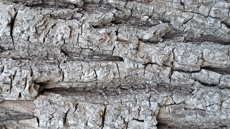 20260104_163922-crpd-2