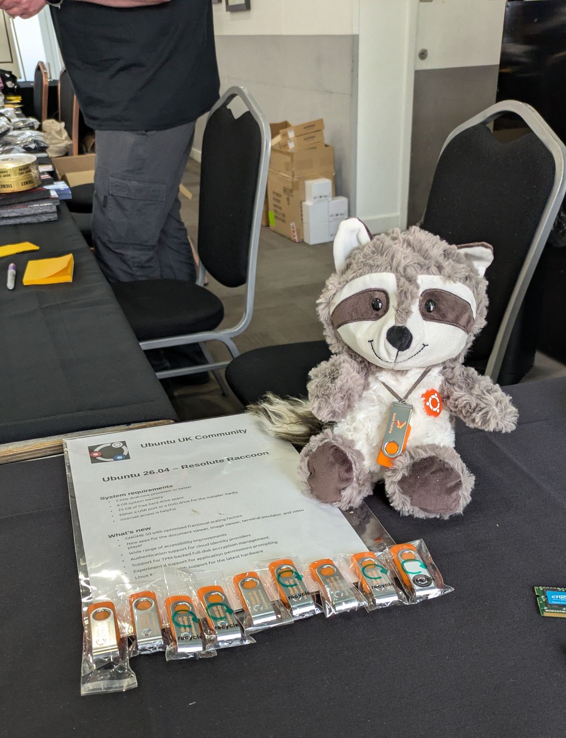 Raccoon with USBs at Oggcamp 26