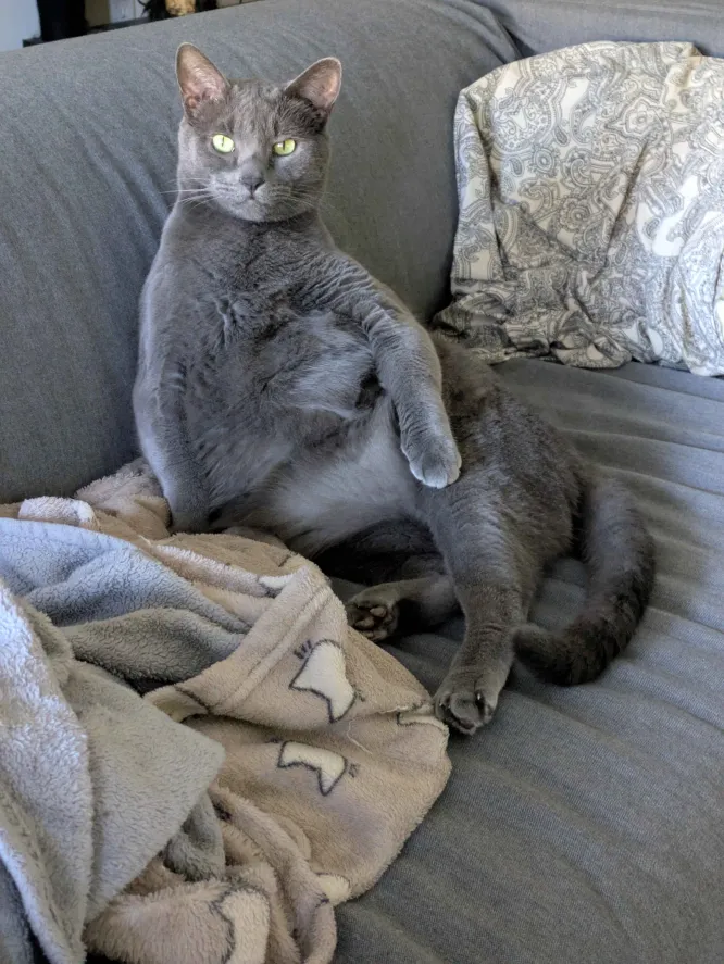 PXL_20251020_201343702