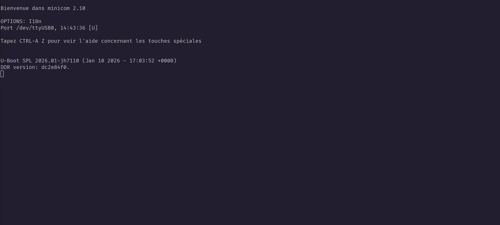 The VisionFive 2 starting up, loading Grub EFI image over TFTP and booting into Grub